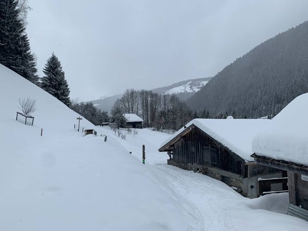 Découvrez les Charmes des Chalets des Houches pour des Vacances Idylliques à la Montagne